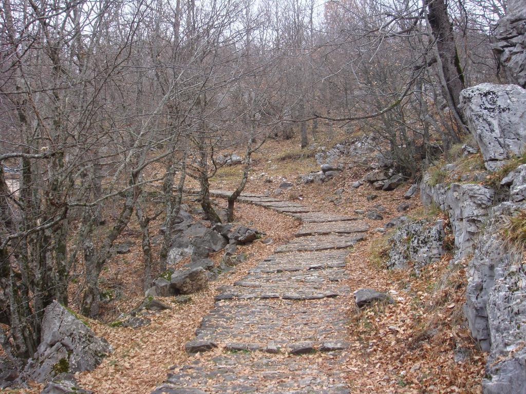 Vikos Hotel Monodendri Exterior foto